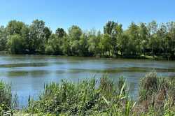 В Днепре местные жители заметили неизвестные вещества и пену в озере Куриное