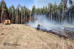 Мешканці Дніпропетровщини випалюють ліса та екосистеми в області