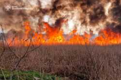 У Дніпрі сталася сильна пожежа на лівому березі (ФОТО)
