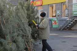 У Дніпрі мерія оголосила війну незаконним точкам продажу ялинок