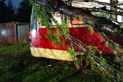 Дерева падали на трамваї та зупинки: як учора справлялися з негодою